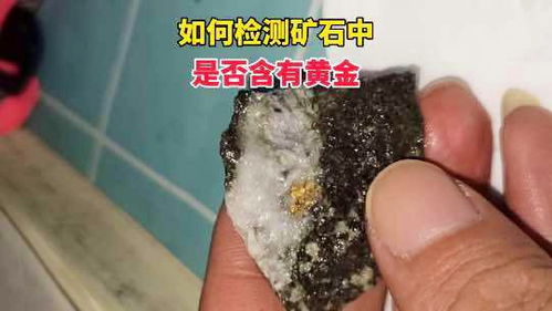 如何檢測礦石中是否含有黃金